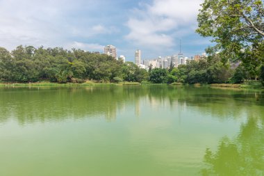 Sao Paulo, Brezilya - 15 Ekim 2016: Aclimacao Park gölde. Bu Sao Paulo ilk Hayvanat Bahçesi ve Carlos Botelho, Brezilya tarafından kurulan.