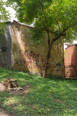 Sao Paulo Aclimacao Park doğanın görünümü
