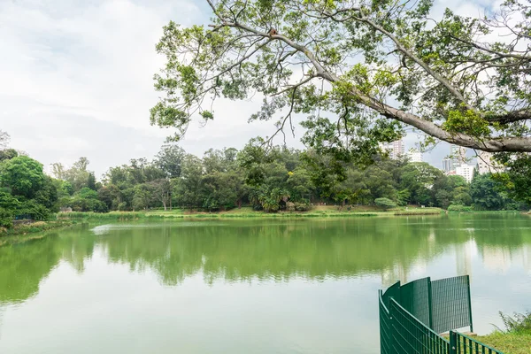 Sao Paulo Brasil Octubre 2016 Lago Parque Aclimacao Fue Primer — Foto de Stock