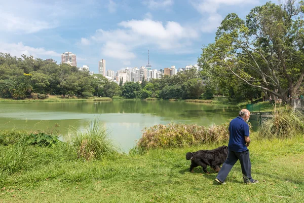 圣保罗 2016 人民享受他们的闲暇时间空闲的时间来与他们在 Aclimacao 公园的狗一起散步 其中由卡洛斯 波特略 巴西成立 — 图库照片