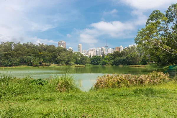 Sao Paulo Brazil October 2016 View City Skyscrapers Aclimacao Park — Stock Photo, Image