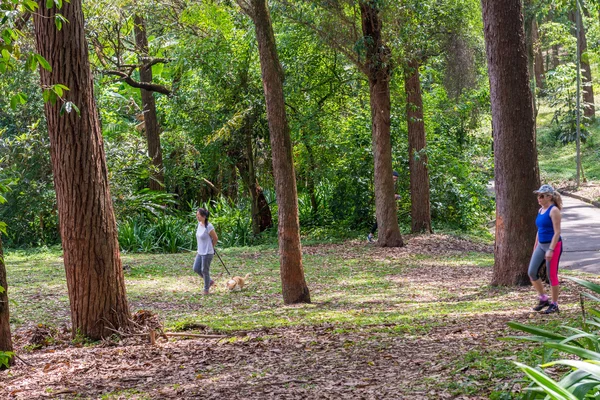 Sao Paulo Brasil Octubre 2016 Personas Disfrutando Tiempo Libre Libre — Foto de Stock