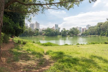 Sao Paulo, Brezilya - 15 Ekim 2016: onların boş zevk insanlar onların köpek Aclimacao parkta birlikte yürümek için zaman ücretsiz. hangi Carlos Botelho, Brezilya tarafından kuruldu.