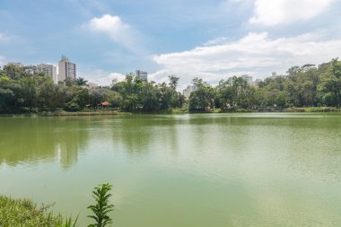 Aclimacao Park Göl Manzaralı Sao Paulo