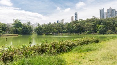 Sao Paulo, Brezilya - 15 Ekim 2016: Aclimacao Park zevk insanlar. Bu Sao Paulo ilk Hayvanat Bahçesi ve Carlos Botelho, Brezilya tarafından kurulan.