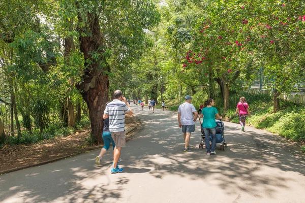 Gente disfrutando del Parque Aclimacao en Sao Paulo — Foto de Stock