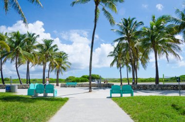Palmiye ağaçları ile Miami Beach ve görmek 
