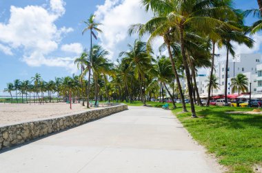 Palmiye ağaçları ile Miami Beach ve görmek 