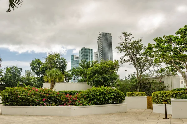 Edificios y Skyline de Miami South Beach — Foto de Stock