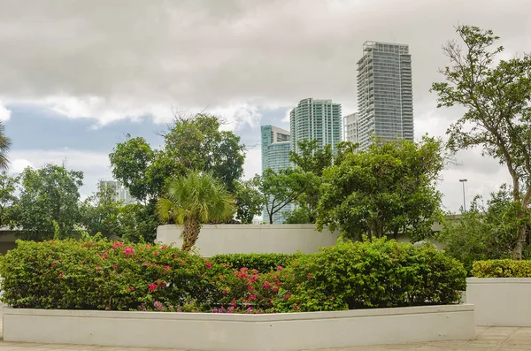 Vista de rascacielos en el centro de Miami — Foto de Stock