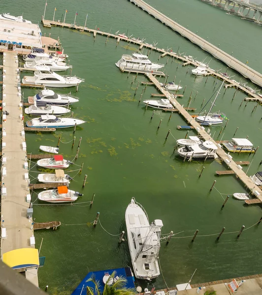 Puerto deportivo con barcos y Skyline de Miami South Beach — Foto de Stock