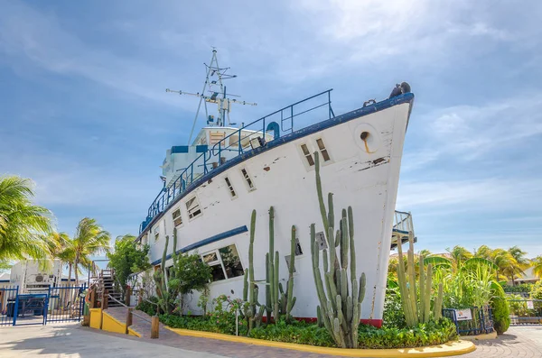 Curacao deniz akvaryum giriş ve yunus Akademisi