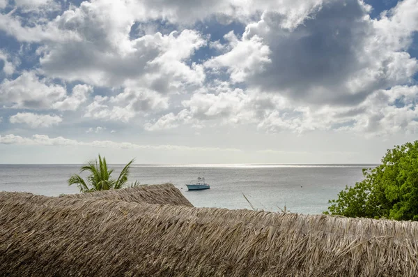 カリブ海の美しいプラヤ カルキ — ストック写真