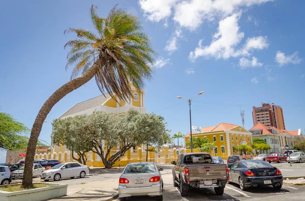 Palmiye ağacı yalnız Curacao şehir merkezinde