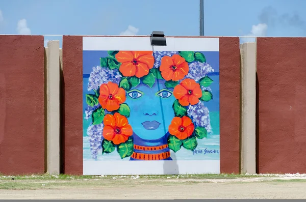 街头艺术装饰在威廉斯塔德库拉索岛 — 图库照片