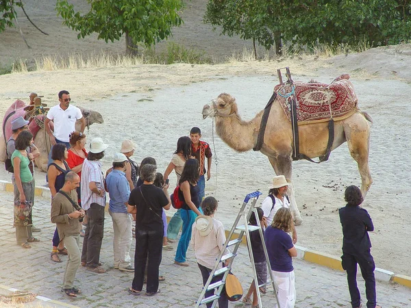 Camello con paisajes rocosos de capadocia en Turquía —  Fotos de Stock