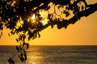 Curacao bir Karayip ada Beach günbatımı