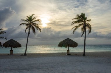 Aruba plajda palmiye ağaçları ile dinlenme alanı