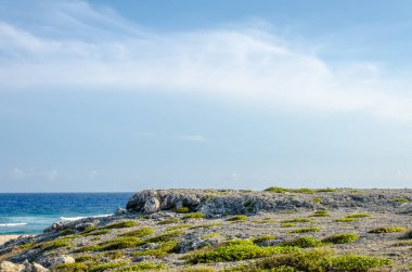 Aruba 'da kurak ve kurak çöl manzarası 