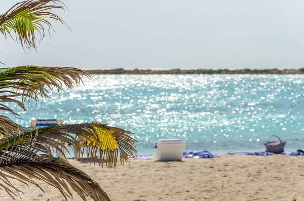 Turistler nesneleri bebek Plajı'nda Aruba üzerinde plaj. — Stok fotoğraf