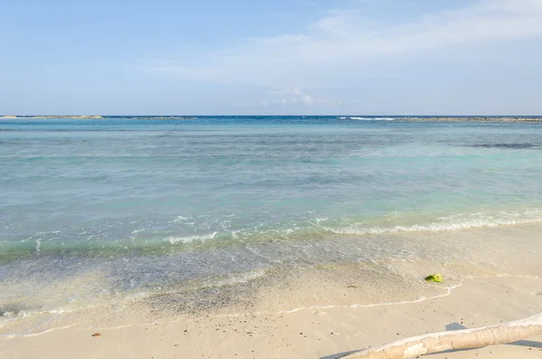 Vista da praia do bebê na ilha de Aruba — Fotografia de Stock