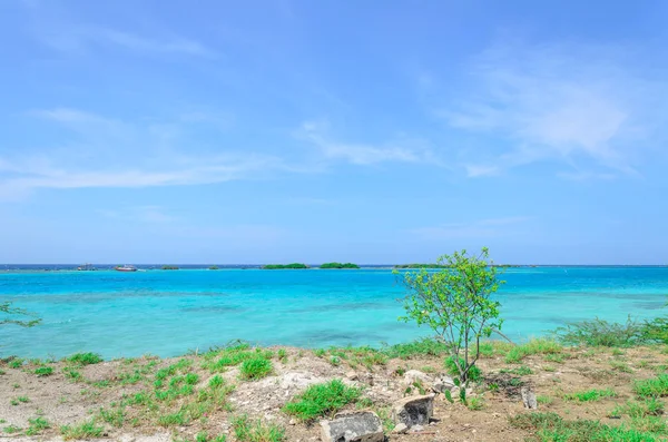 Vista incrível da praia Mangel Halto em Aruba — Fotografia de Stock