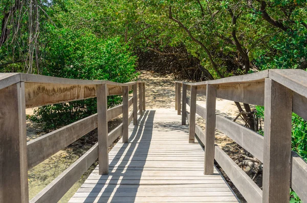 Vue imprenable sur la plage de Mangel Halto à Aruba — Photo