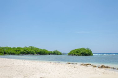 Mangel Halto Beach Aruba muhteşem görünümü