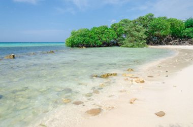 Mangel Halto Beach Aruba muhteşem görünümü