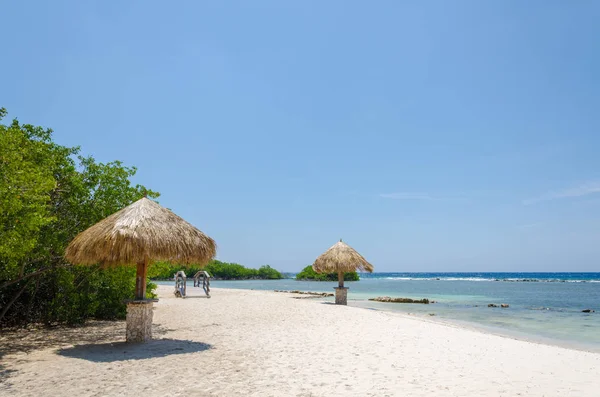 Patrząc przez drzewa mangrowe w Aruba beach — Zdjęcie stockowe