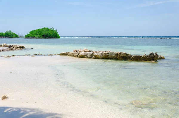 Při pohledu přes mangrovových stromů v Aruba beach — Stock fotografie