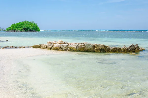 Mangel Halto Beach Aruba muhteşem görünümü