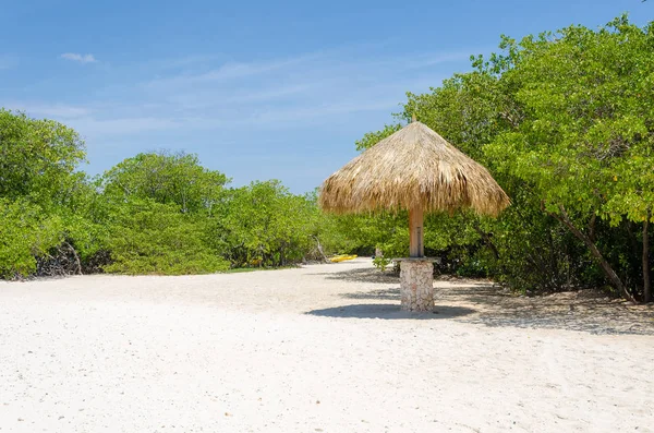 Tittar Igenom Mangroveträd Mangel Halto Beach Aruba — Stockfoto