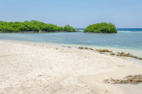 Při Pohledu Přes Mangrovových Stromů Mangel Halto Beach Aruba — Stock fotografie