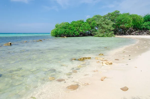Mangel Halto Beach Aruba muhteşem görünümü
