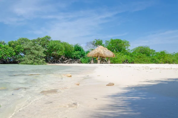 Looking through the mangrove trees in Aruba beach — Stock Photo, Image