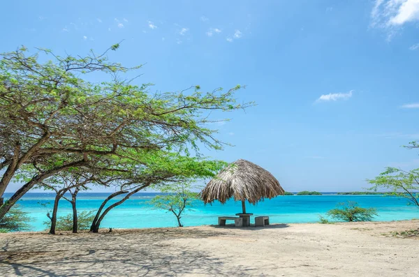 Mangel Halto Beach Aruba muhteşem görünümü — Stok fotoğraf