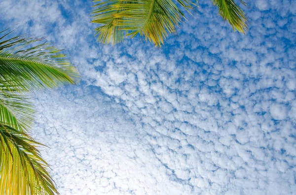 Vista céu com nuvens brancas da praia da águia, Aruba — Fotografia de Stock