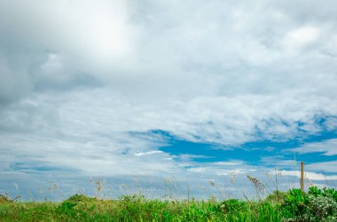 Miami South Beach bitki örtüsü ile gökyüzü arka plan olarak