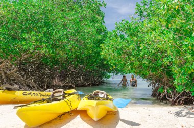 Kayak Mangel Halto Beach Aruba