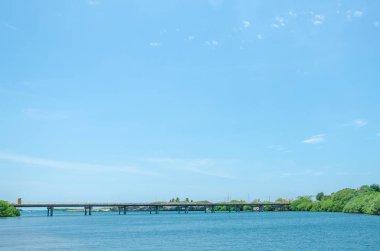 Mangel Halto Beach Aruba muhteşem görünümü