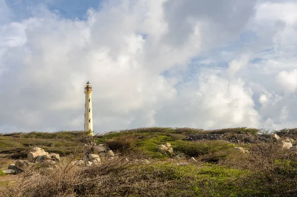 O velho farol branco da Califórnia em Aruba — Fotografia de Stock