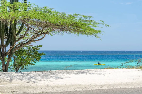 Uomo a cavallo di un kayak da una spiaggia di Aruba — Foto Stock