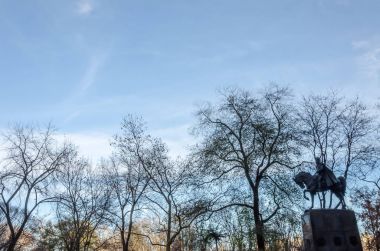 New York City Central Park'ta heykeli