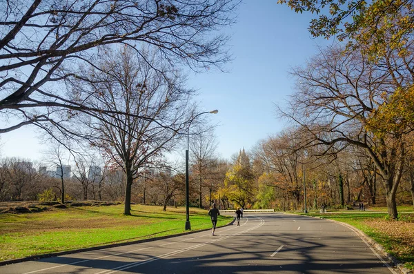 Deportes en el Central Park Nueva York — Foto de Stock