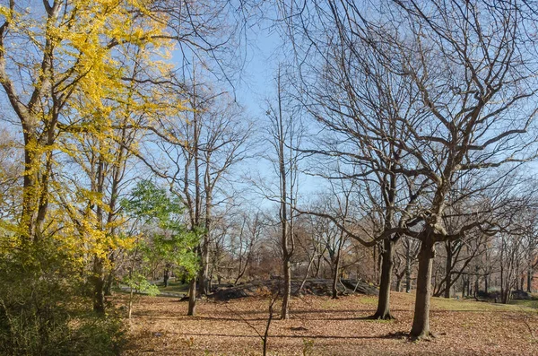 Panorama Nowego Jorku manhattan central park — Zdjęcie stockowe