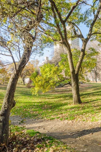 Nueva York Manhattan Central Park Panorama Otoño Con Árboles Colores — Foto de Stock