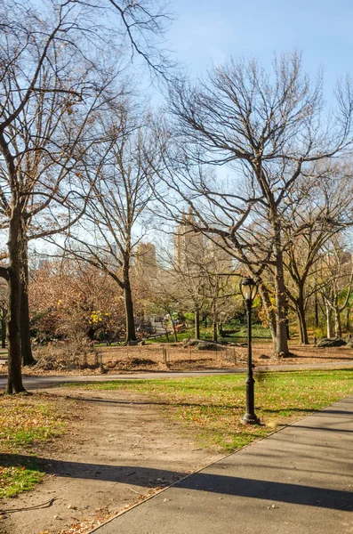 Deportes en el Central Park Nueva York — Foto de Stock