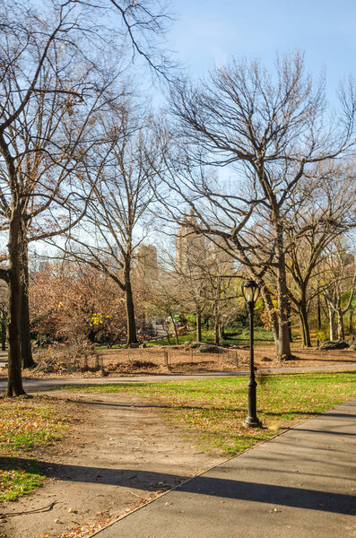 Sports at the New York City Manhattan Central Park panorama in Autumn with colorful trees