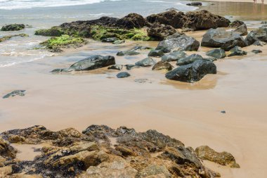 Güzel bir plaj ve doğa Itacare Bahia Brezilya yakınındaki